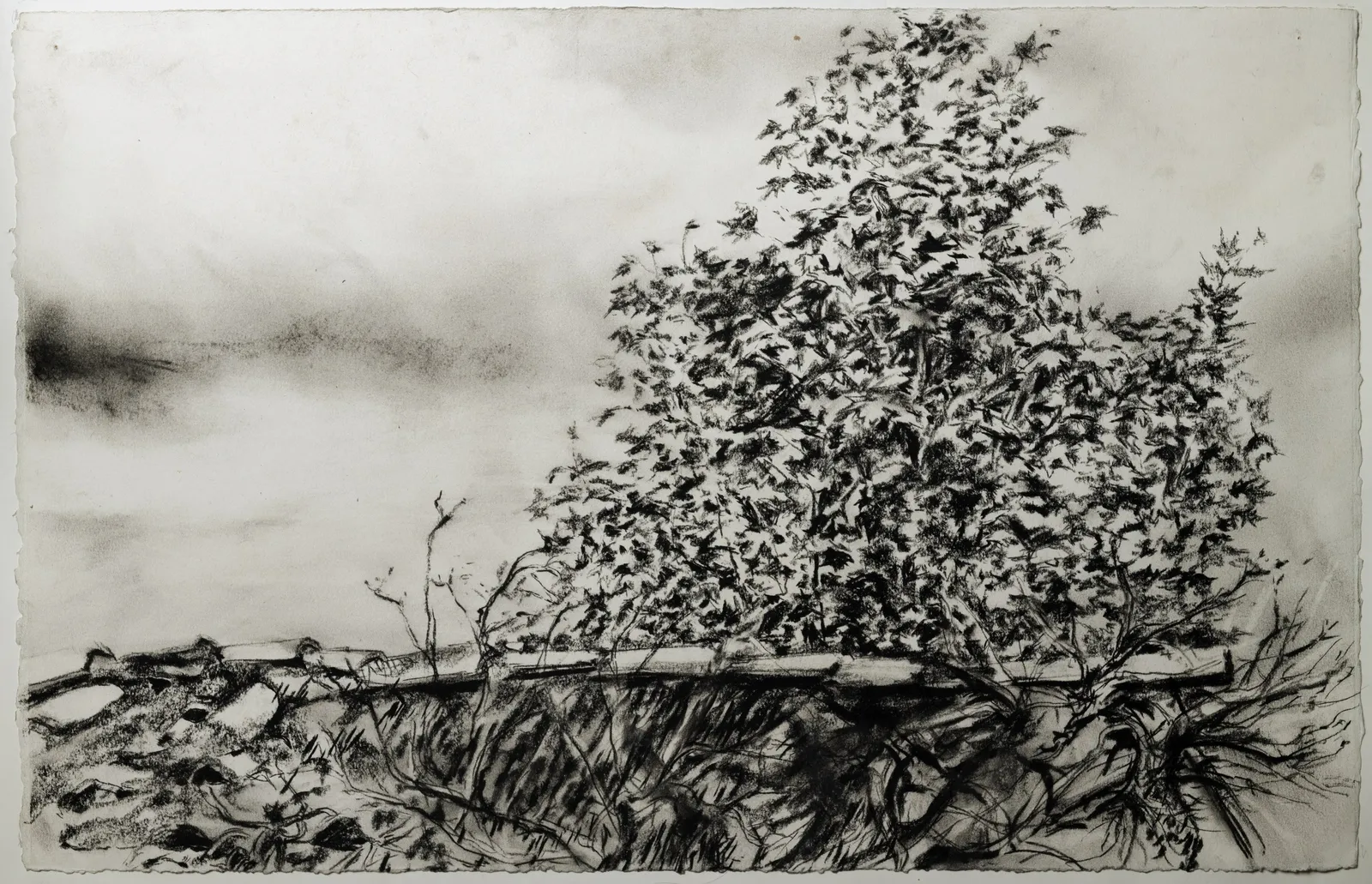 Les Aygalades — charcoal on paper, 6 of 30