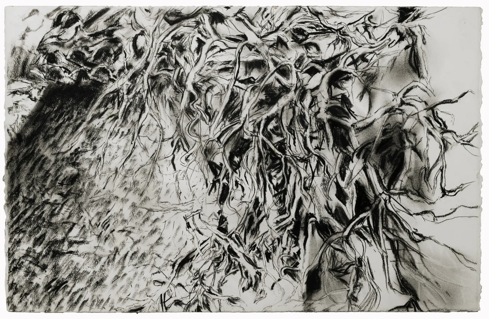 Les Aygalades — charcoal on paper, 12 of 30
