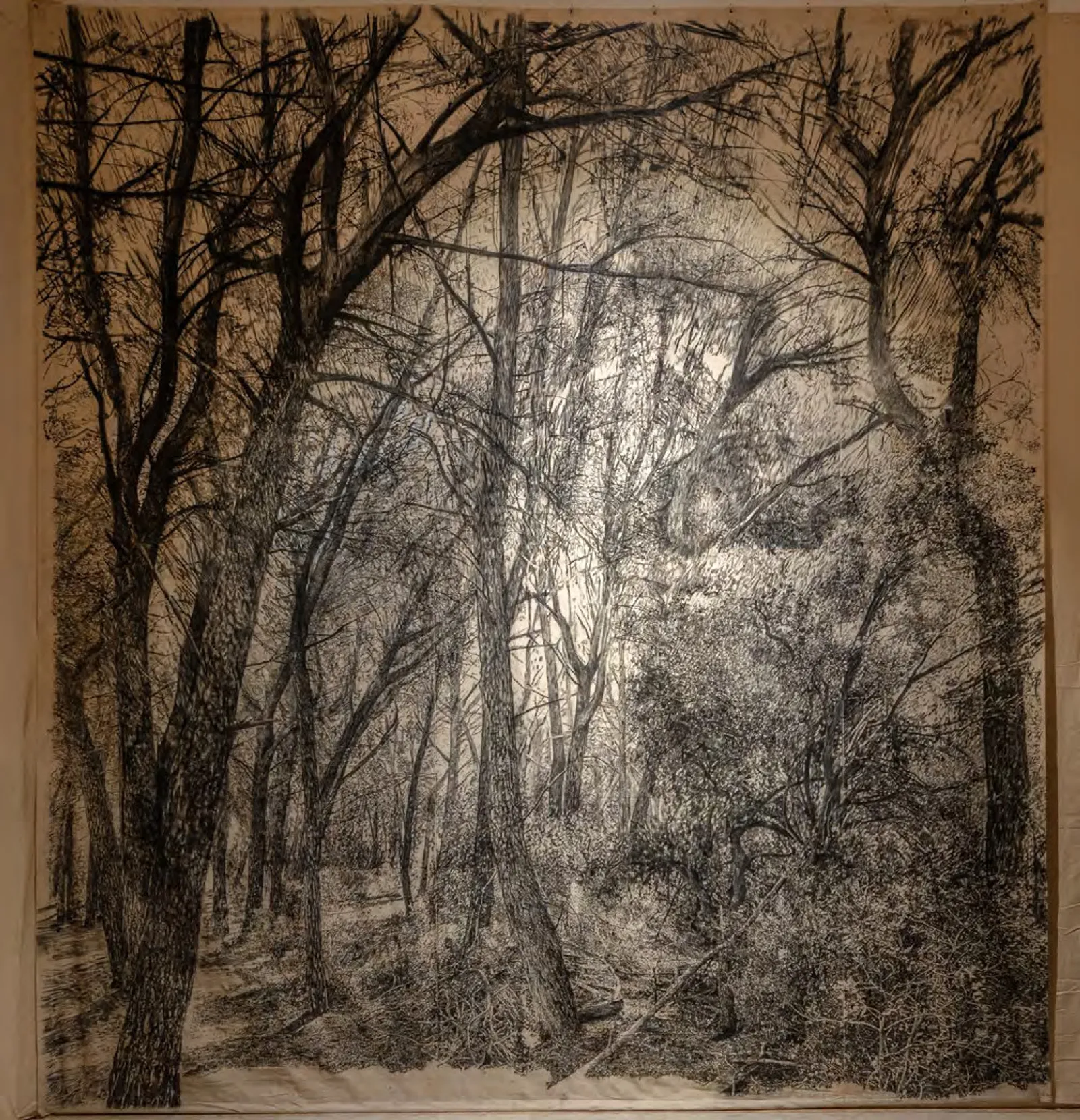 The edge of memory I, 2023 — charcoal on cotton canvas