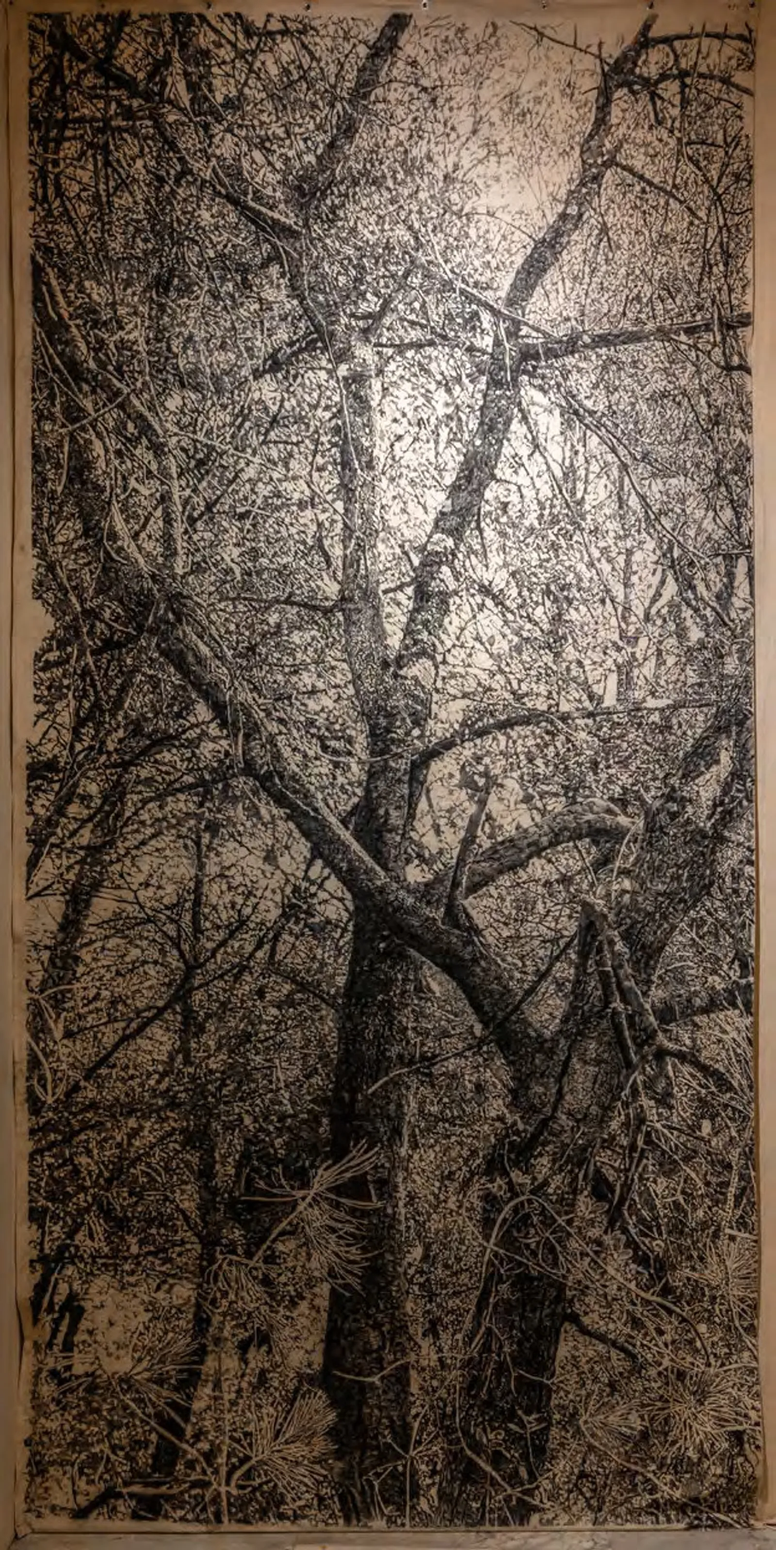 The edge of memory II, 2023 — charcoal on cotton canvas