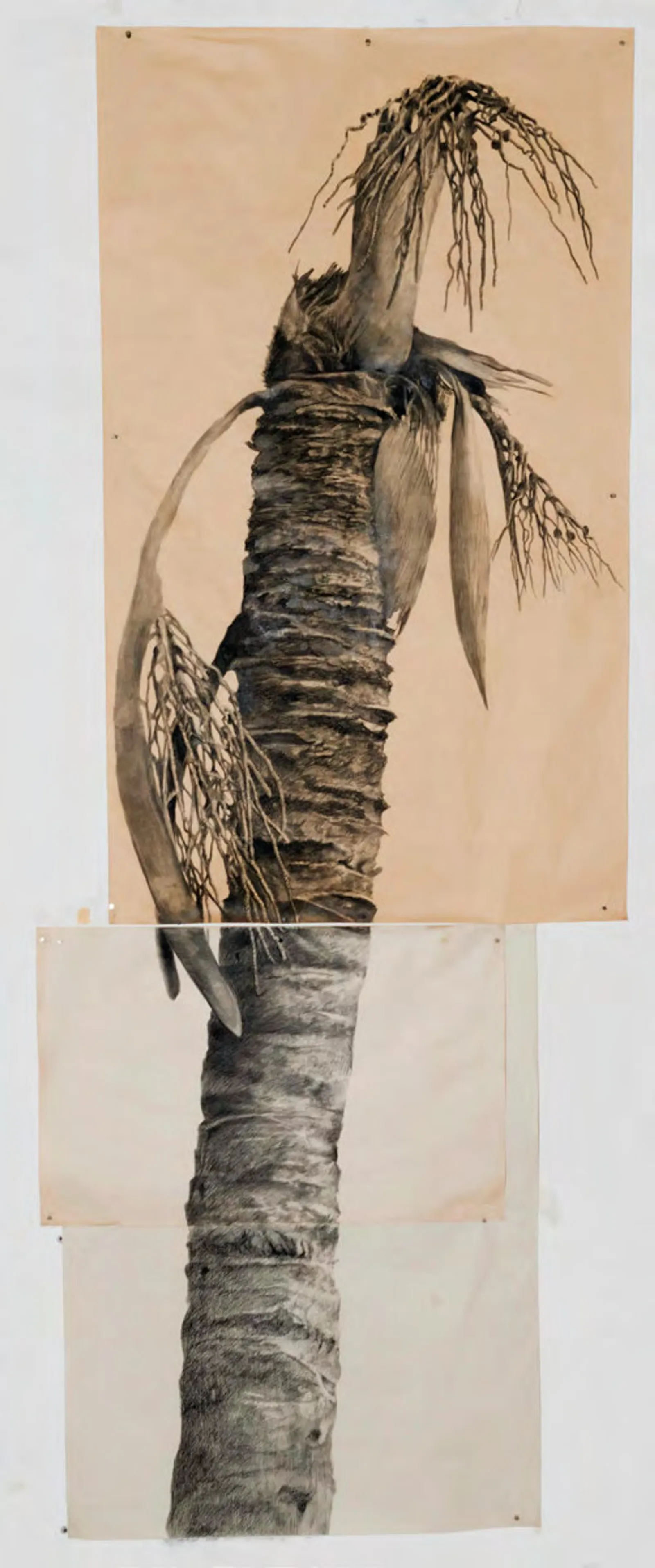 The great nowhere, 2024 — charcoal on paper