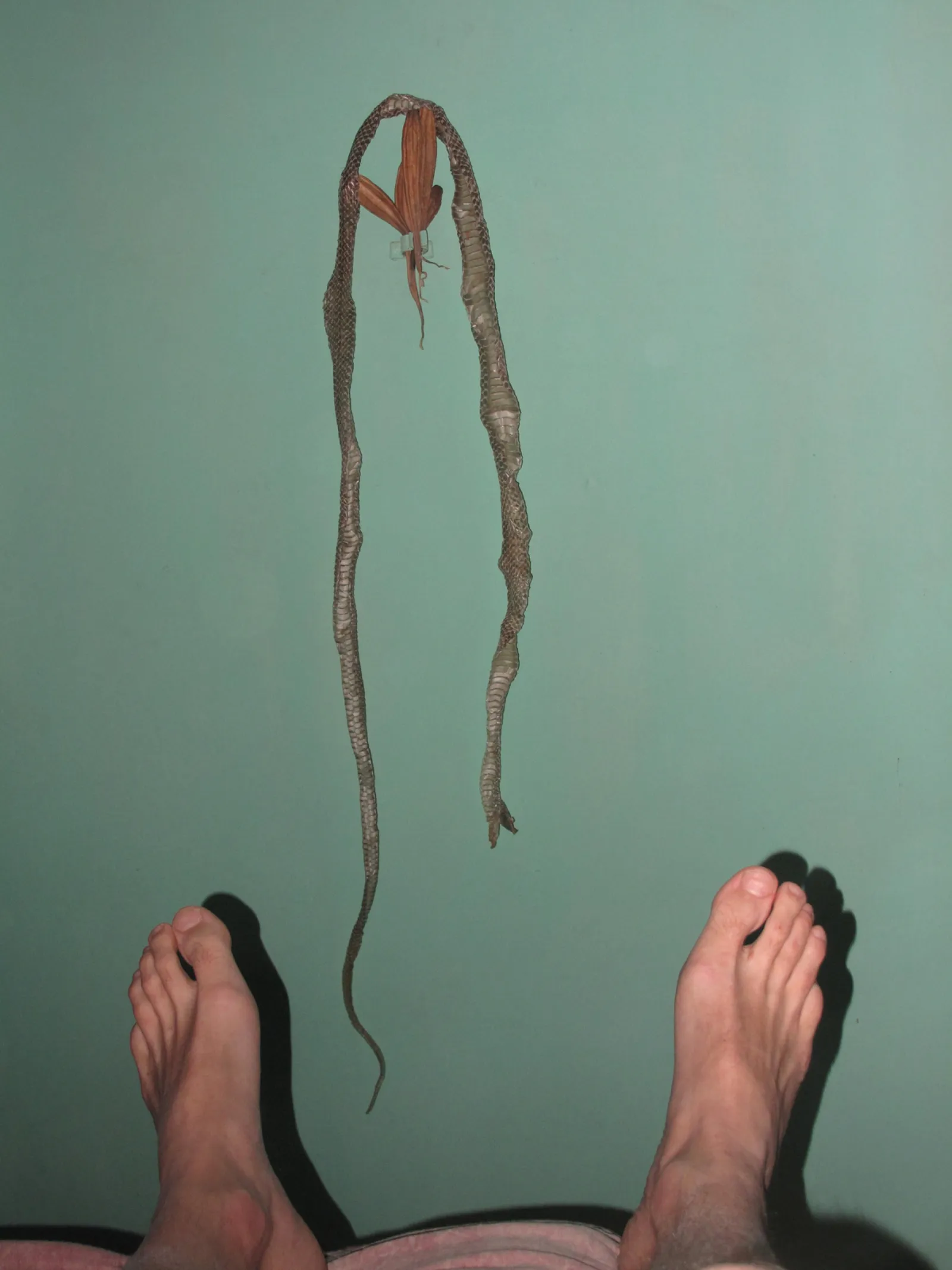 Partapur, 2011 — steel, site-specific installation