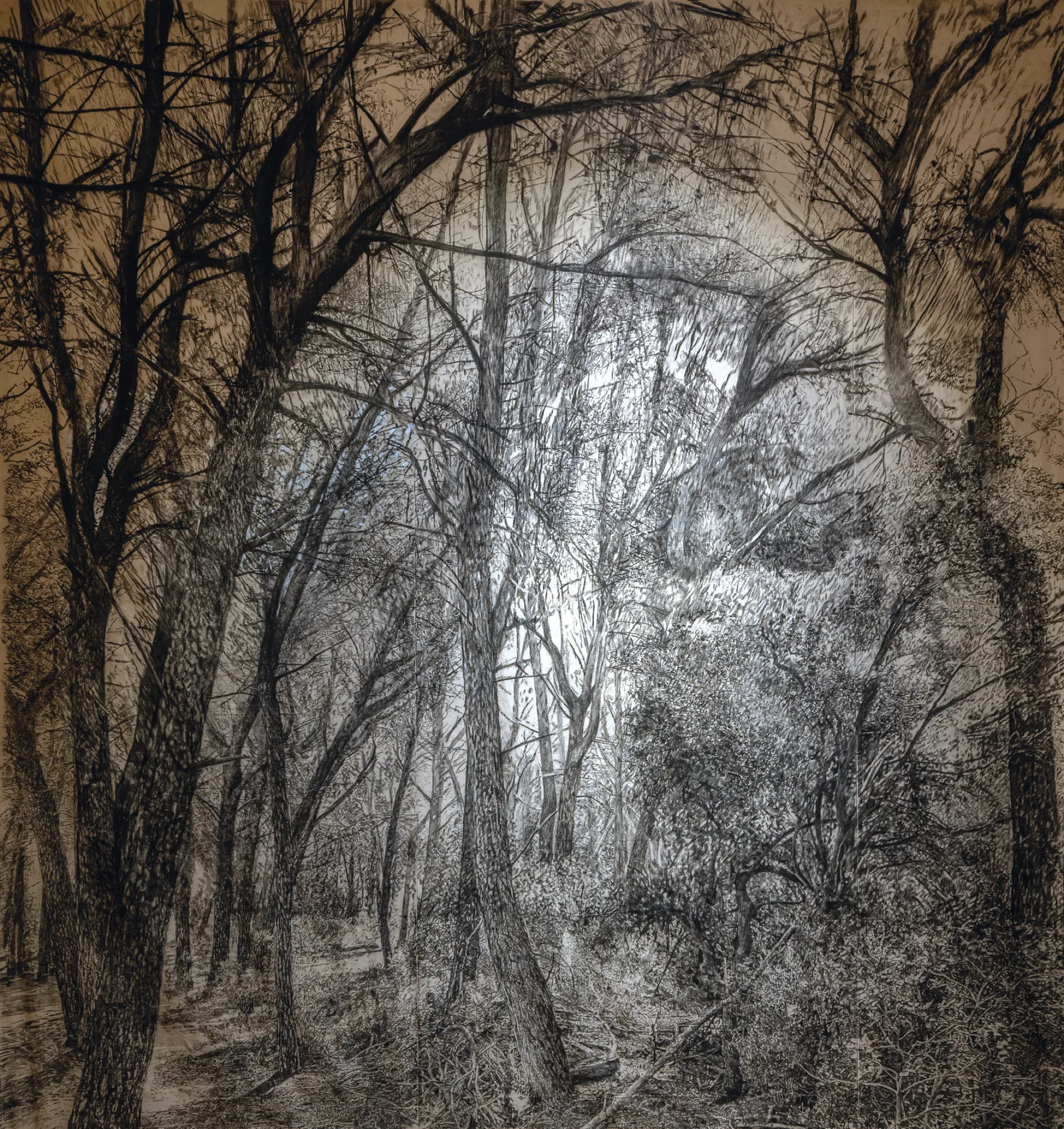 Carbon Fields, 2023 — monumental charcoal drawing (detail)