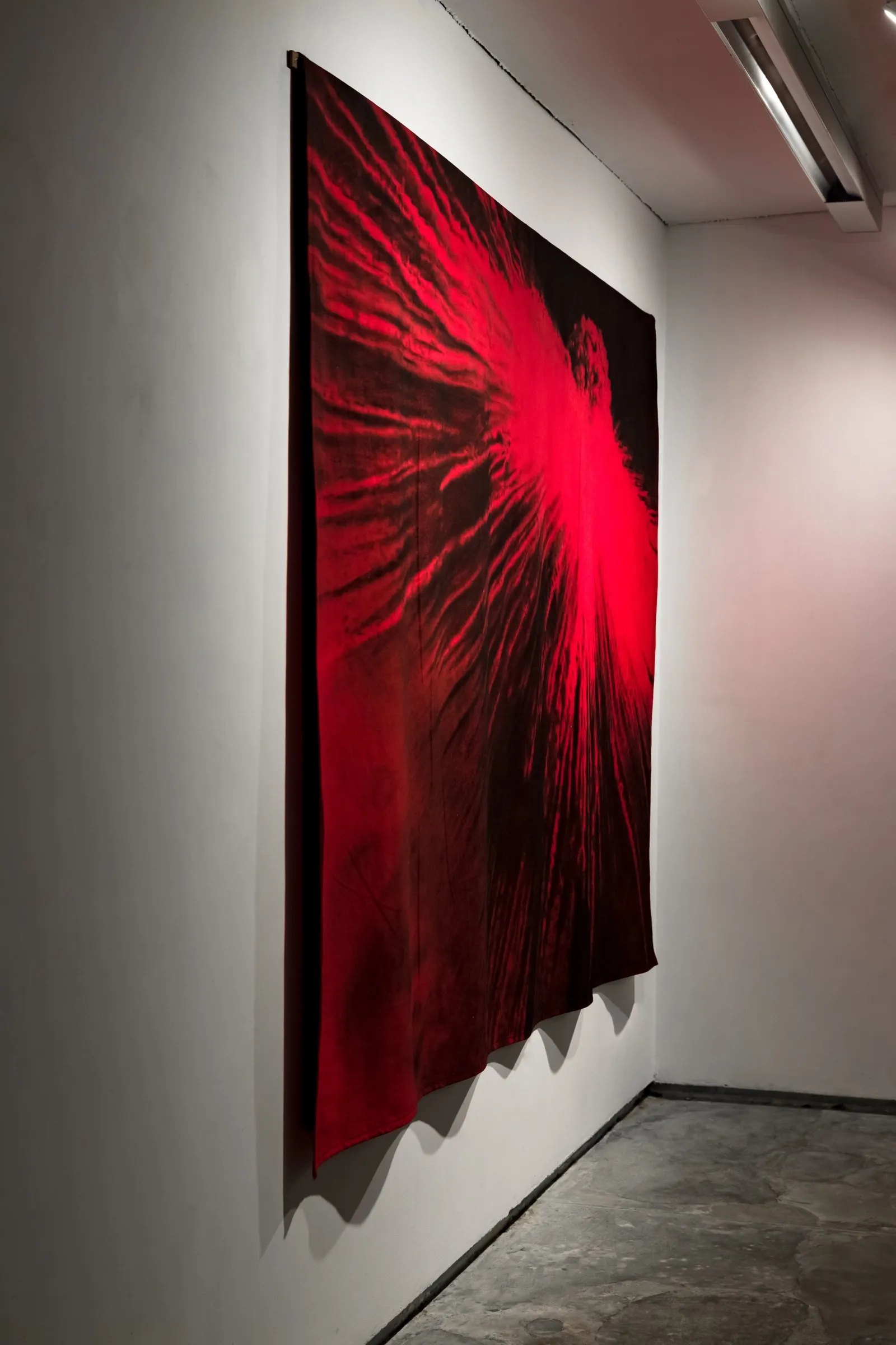 Dark Was the Night — installation view, Experimenter, Kolkata, 2023