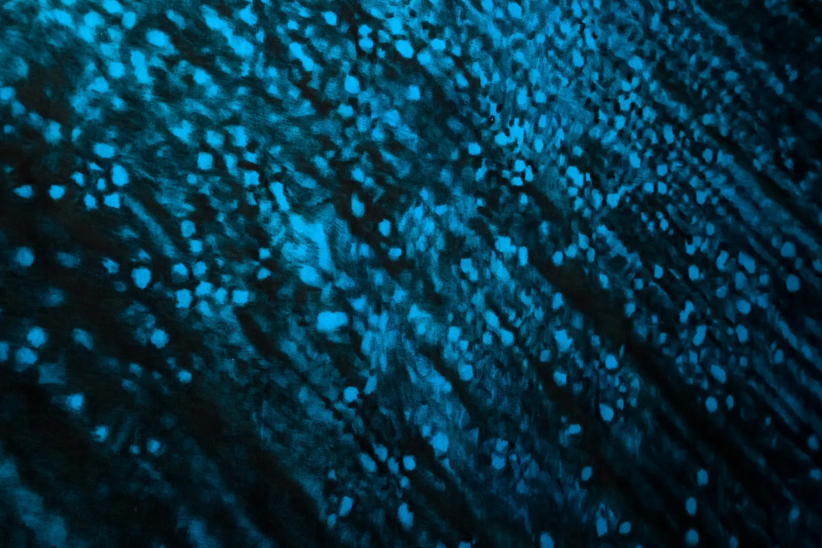 Dark Was the Night — installation view, Experimenter, Kolkata, 2023