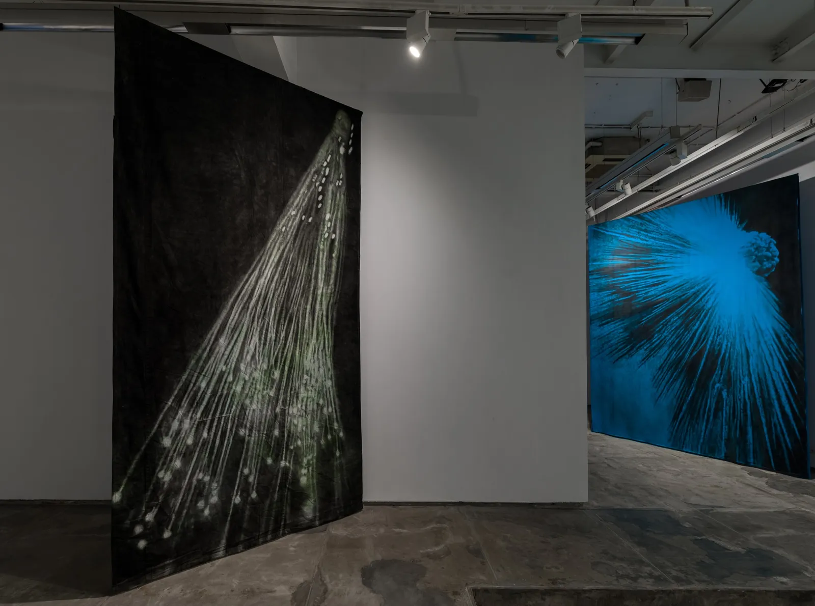 Dark Was the Night — installation view, Experimenter, Kolkata, 2023