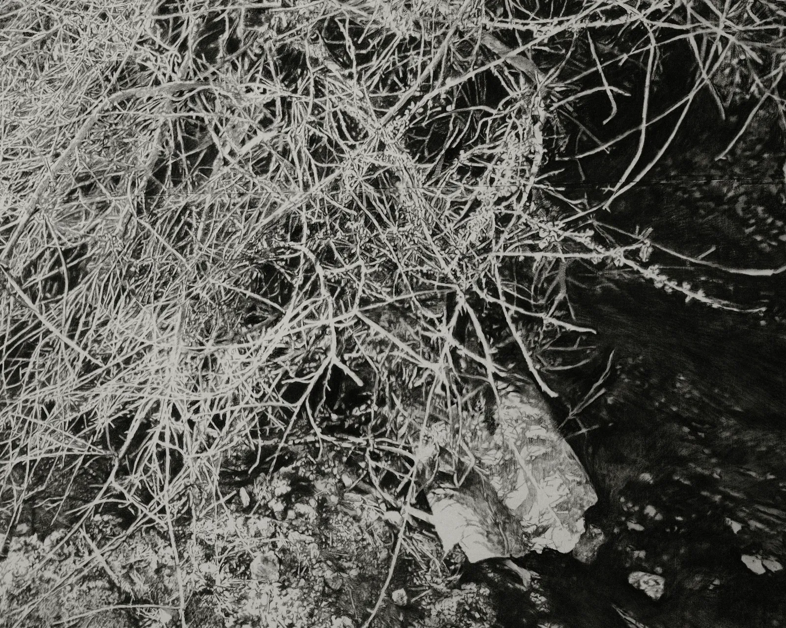 The Edge of Memory, 2026 — charcoal on paper (detail)