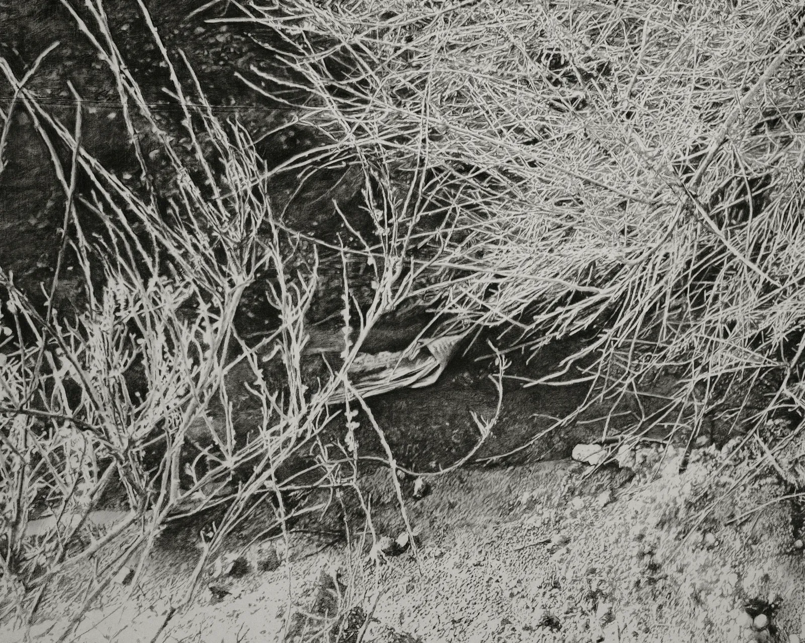 The Edge of Memory, 2026 — charcoal on paper (detail)