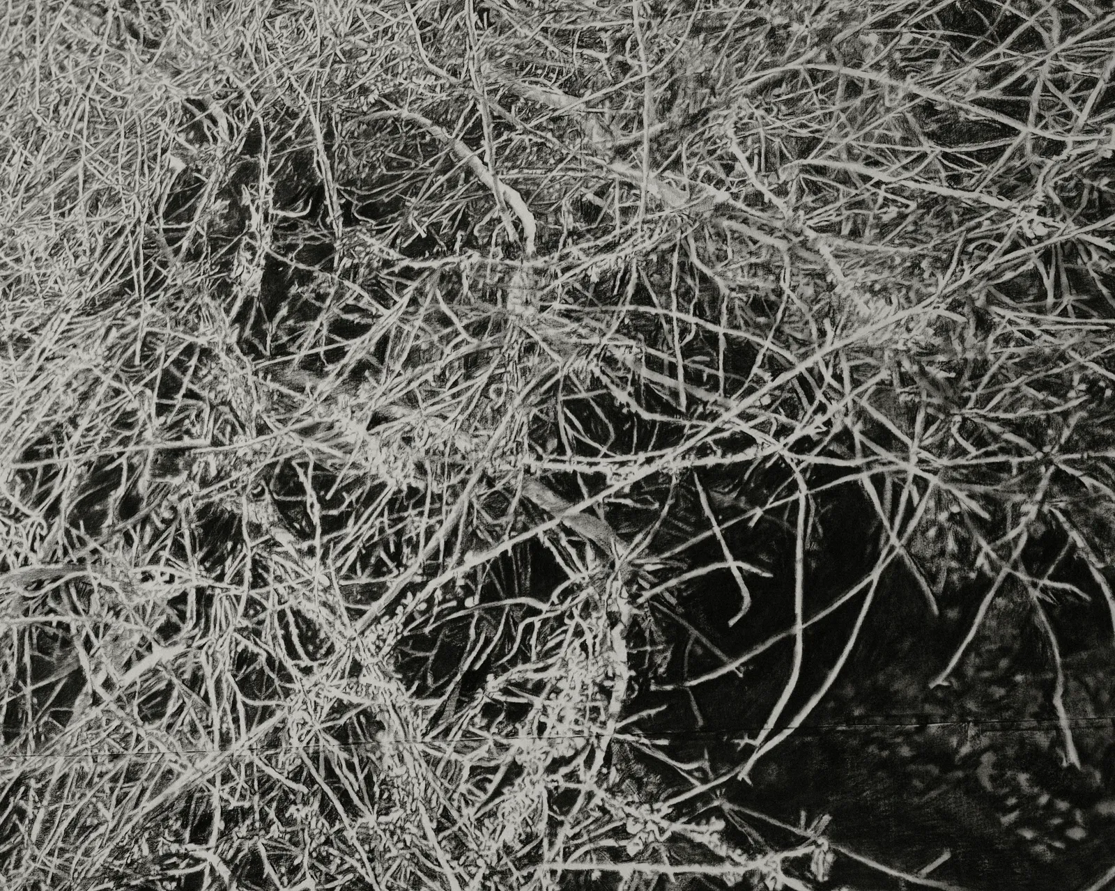 The Edge of Memory, 2026 — charcoal on paper (detail)
