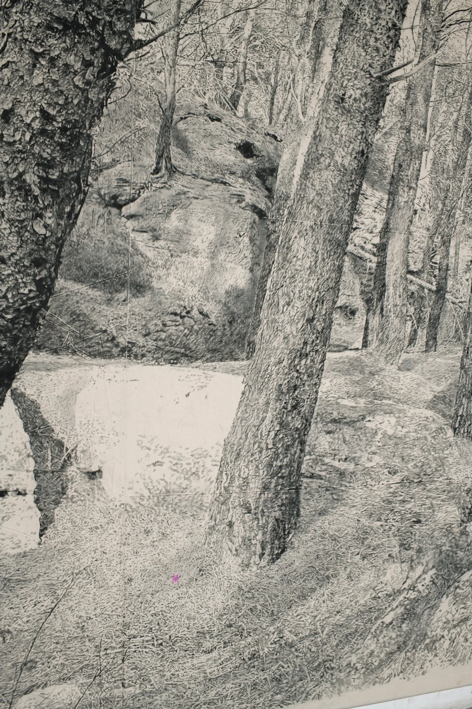 The Edge of Memory, 2026 — charcoal on paper (detail)