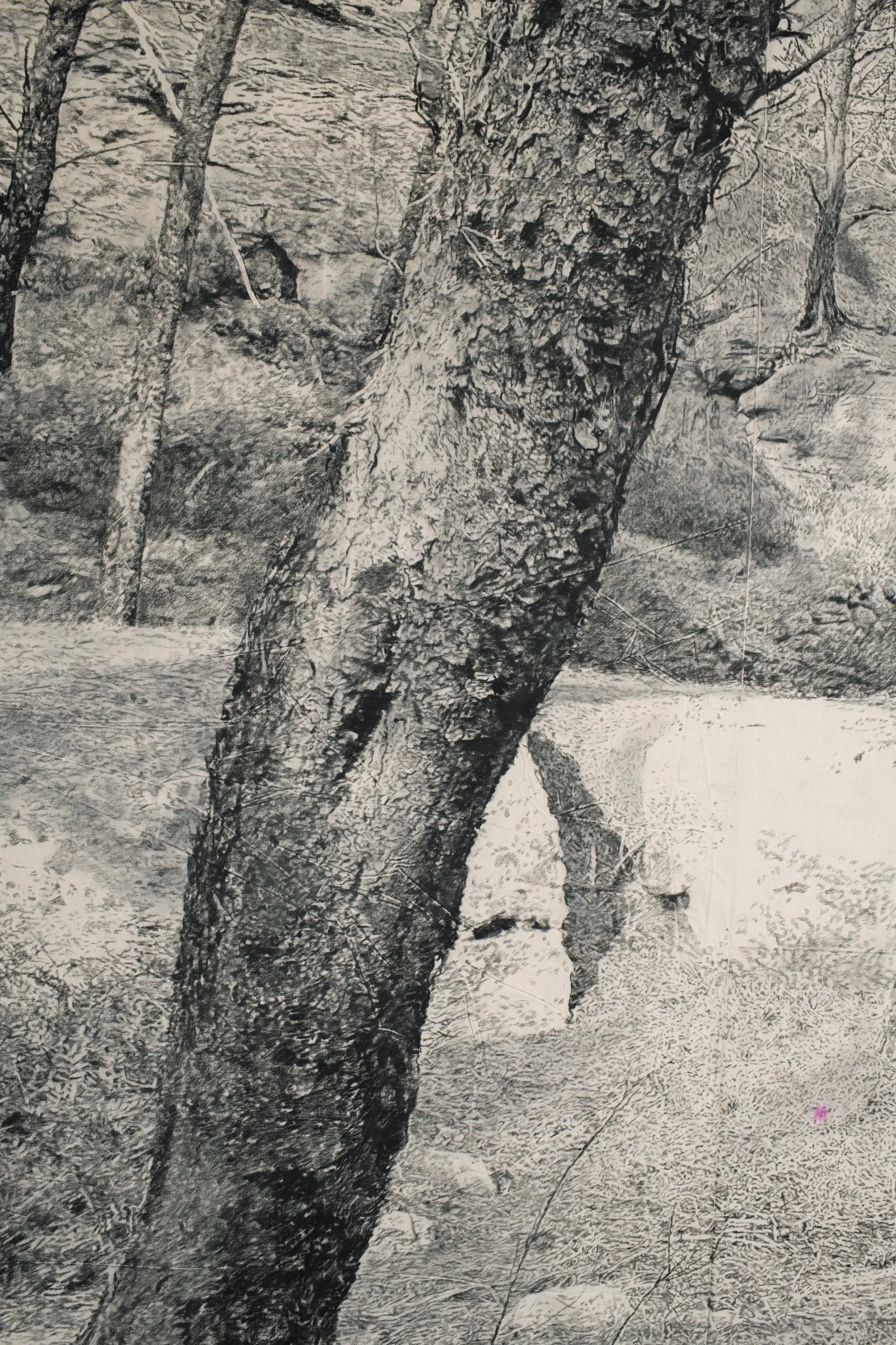 The Edge of Memory, 2026 — charcoal on paper (detail)