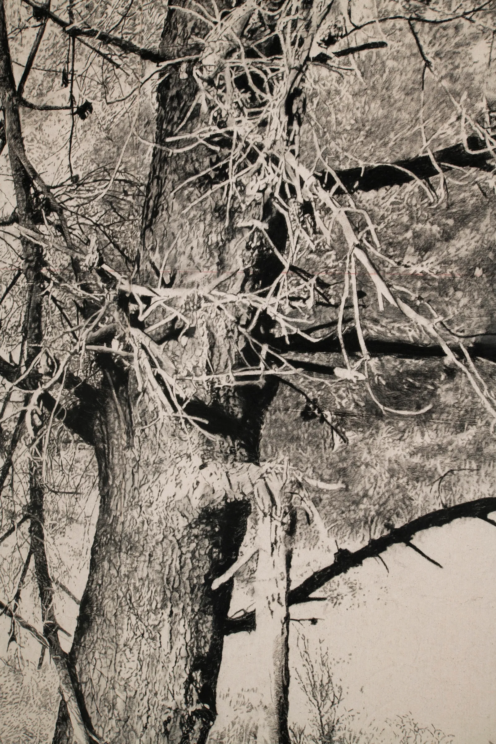 The Edge of Memory, 2026 — charcoal on paper (detail)