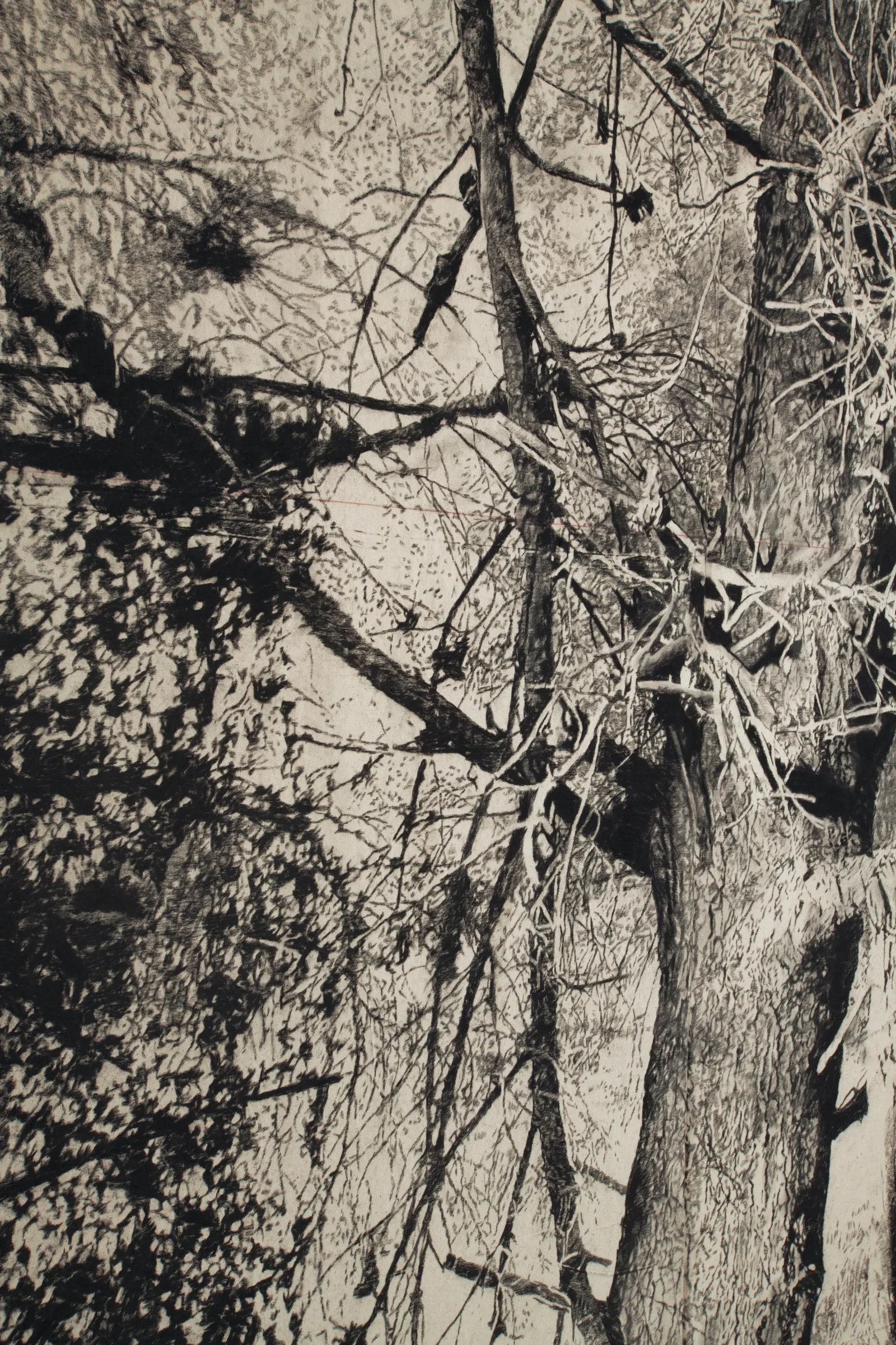The Edge of Memory, 2026 — charcoal on paper (detail)