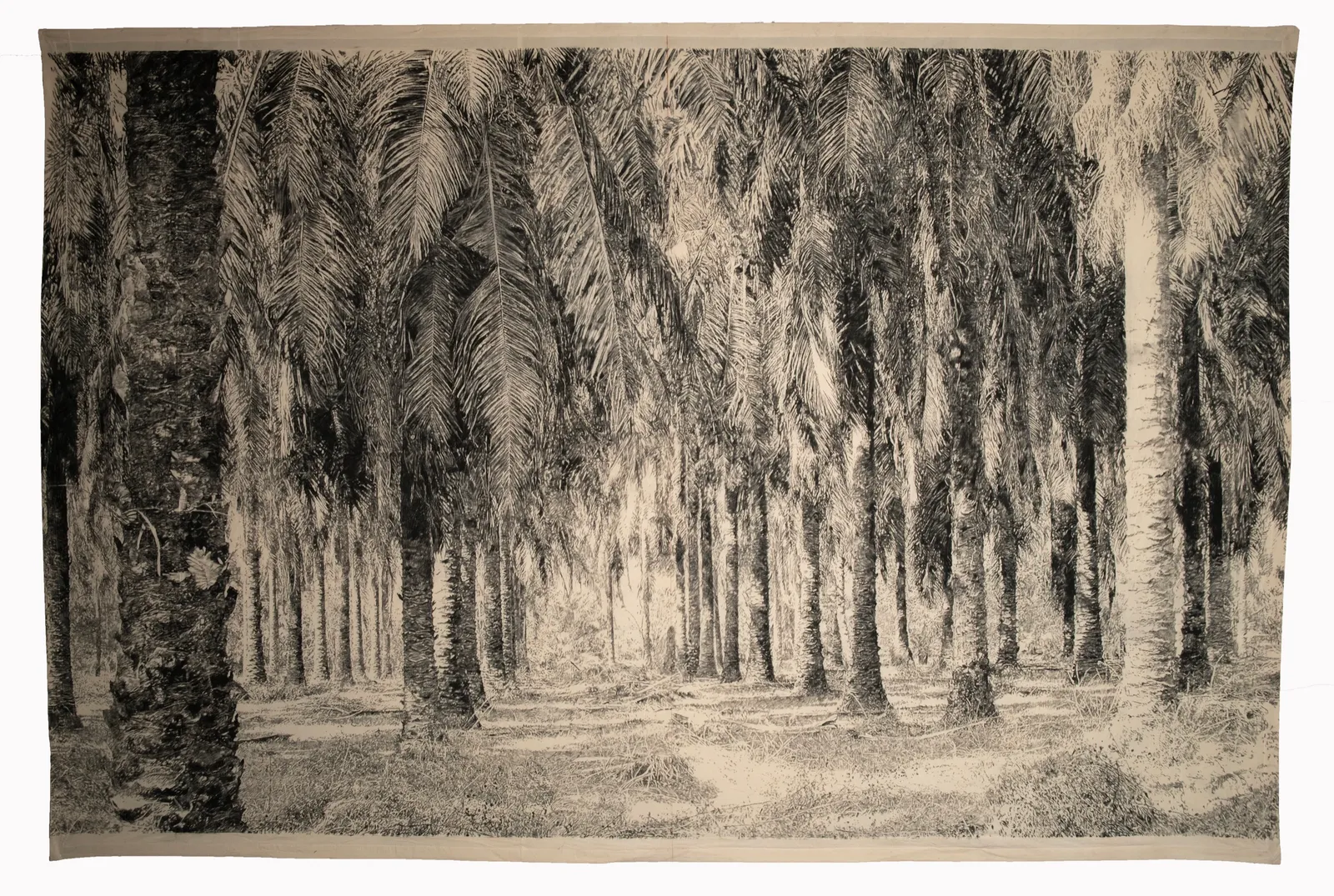 The Edge of Memory (Ramdas) — oil palm grove, charcoal on paper, 314 × 470 cm