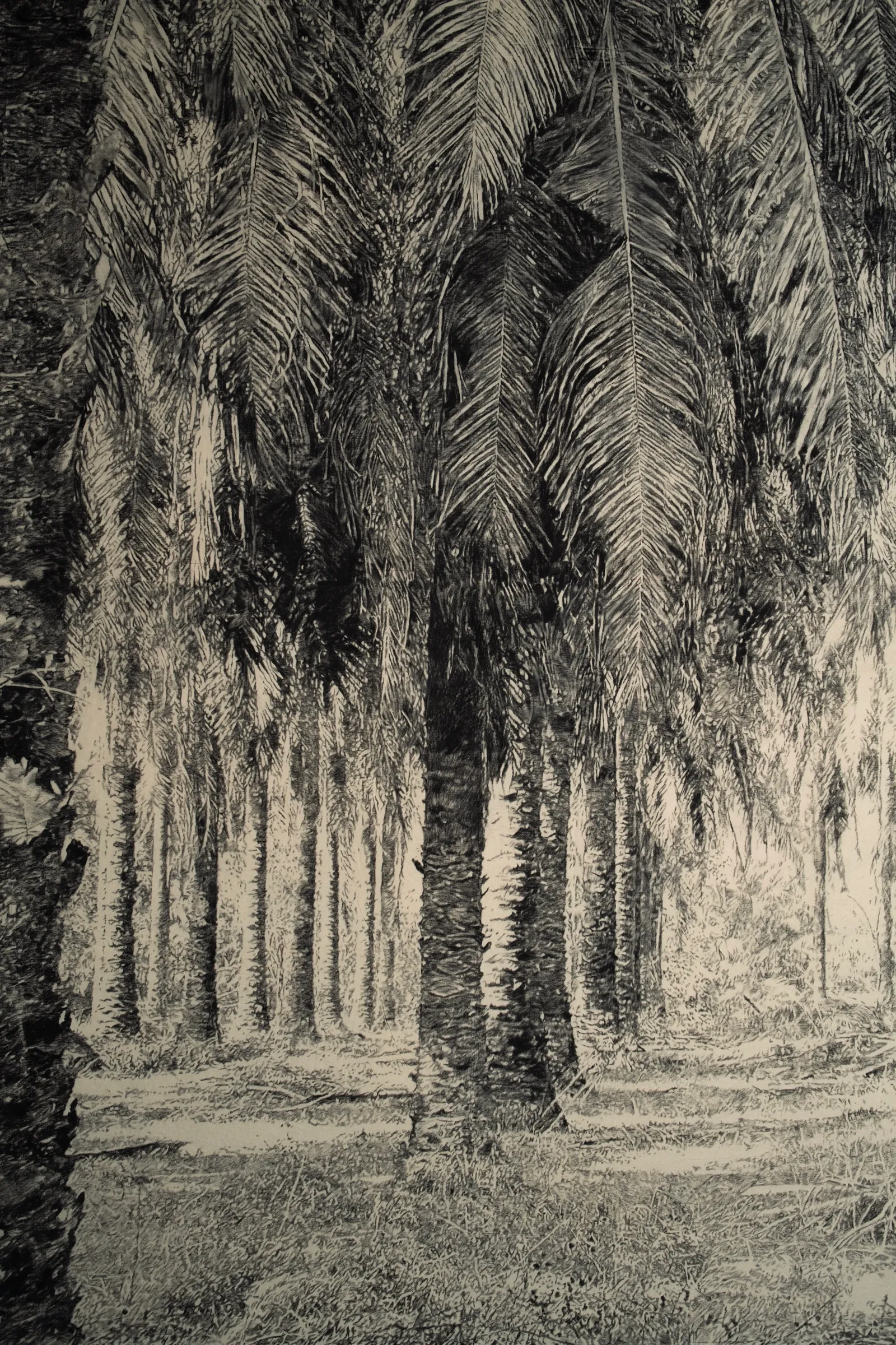 The Edge of Memory (Ramdas) — charcoal on paper (detail)